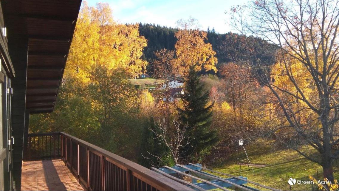 Chalet Les Chardons Gérardmer Extérieur photo